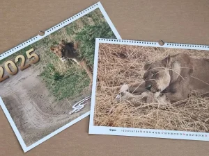 Fotografie 2: Nástěnný kalendář A3 na šířku s řádkem dnů 420 × 297 mm