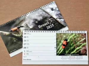 Fotografie 4: Stolní týdenní velký kalendář